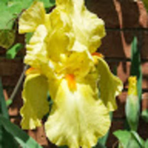 Meet your Posher, Karla